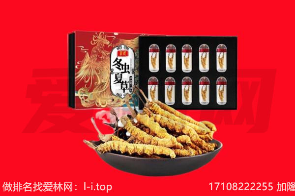 仁怀市回收虫草.jpg